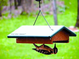 EcoTough Suet Feeder