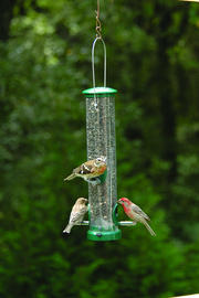 Quick Clean Feeder