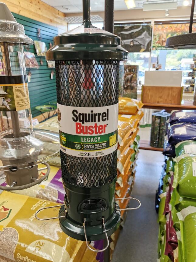 Squirrel Buster feeder