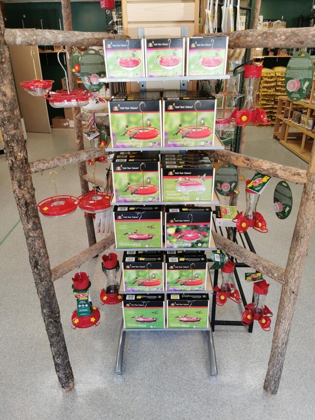 Hummingbird feeders on display