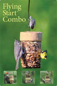 Flying Start Combo Flying Start Combo